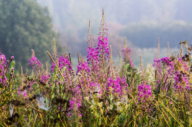 Similar image 5924881