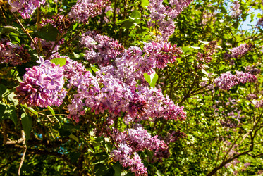 Similar image 5924882