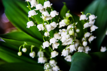 Similar image 5924883