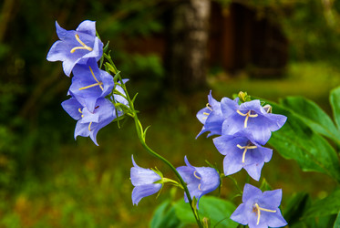 Similar image 5924885