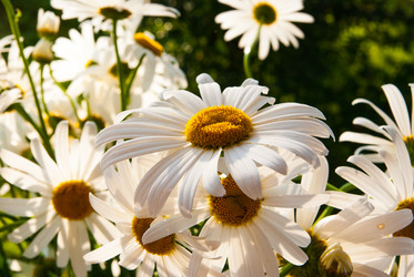 Similar image 5924886