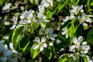 Similar image 5924887