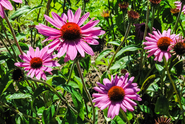 Similar image 5924899