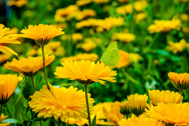 Similar image 5924900