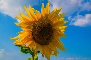 Similar image 5924901