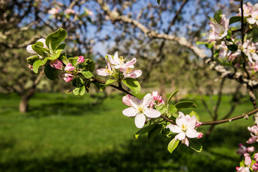 Similar image 5924903