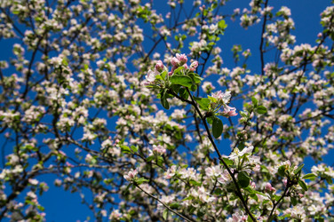 Similar image 5924904