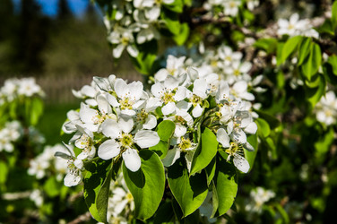 Similar image 5924905