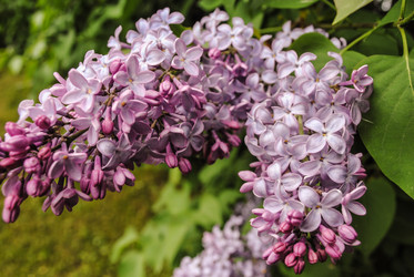 Similar image 5924907