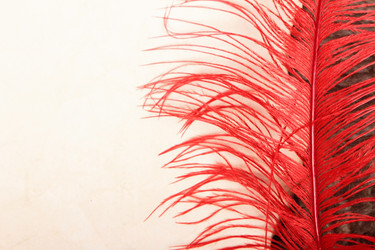 Similar image 5924949