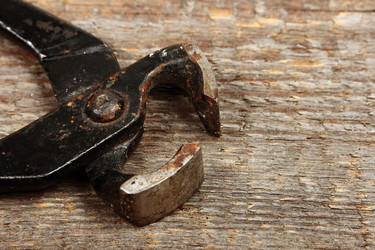 Similar image 5924955