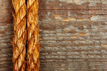 Similar image 5924983