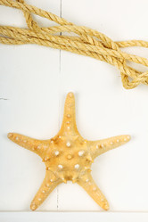 Similar image 5924995