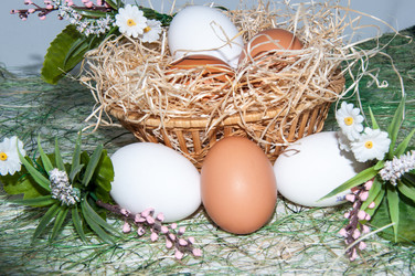 Similar image 5925004