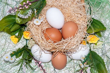 Similar image 5925006