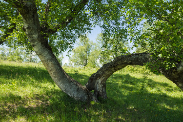 Similar image 5925009