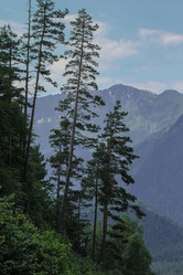 Similar image 5925012