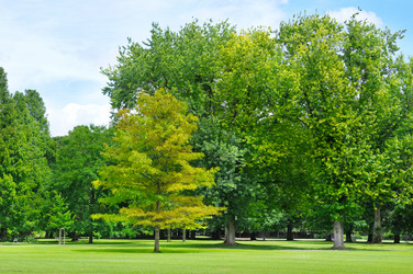 Similar image 5925032