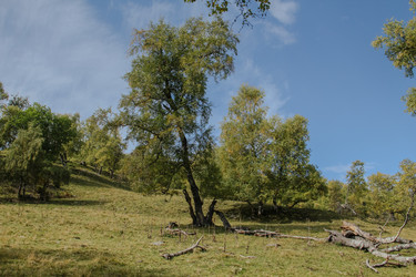 Similar image 5925194