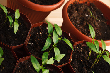 Similar image 5925217