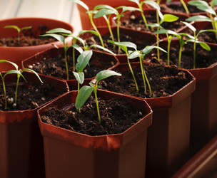 Similar image 5925218