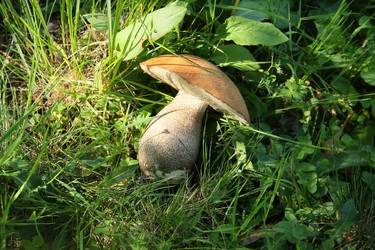 Similar image 5925234