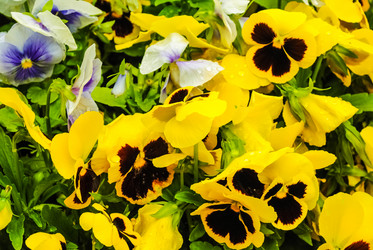 Similar image 5925384