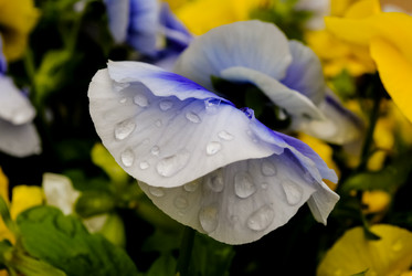 Similar image 5925385