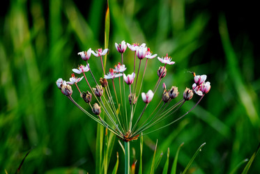 Similar image 5925388