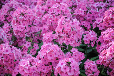 Similar image 5925389