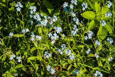 Similar image 5925414