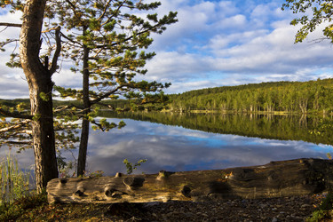 Similar image 5925537