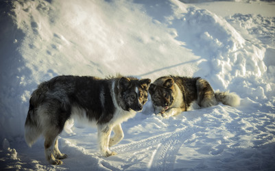 Similar image 5925543