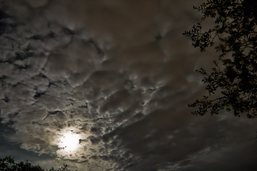 Similar image 5925549