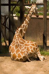 Similar image 5925557