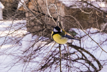 Similar image 5925577