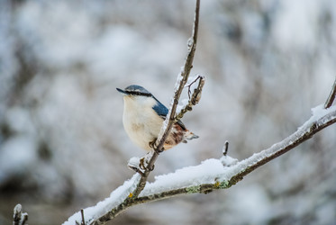 Similar image 5925579