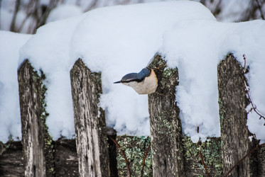 Similar image 5925581