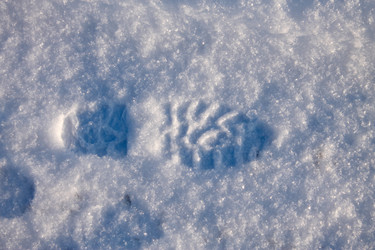 Similar image 5925588