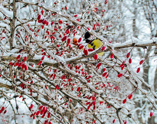 Similar image 5925591