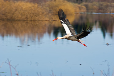 Similar image 5925593