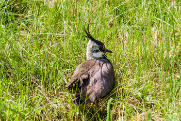 Similar image 5925595