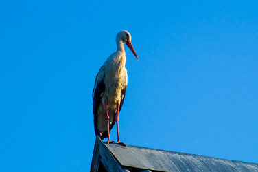 Similar image 5925597