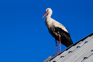 Similar image 5925598