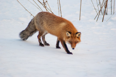 Similar image 5925599