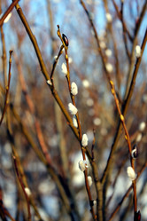 Similar image 5925629