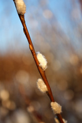 Similar image 5925630