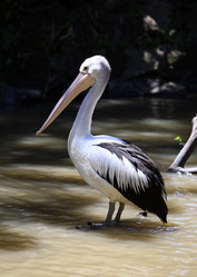 Similar image 5925643