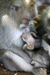 Similar image 5925651