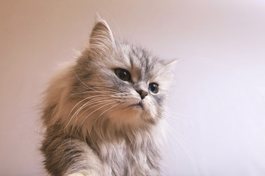 Similar image 5925671